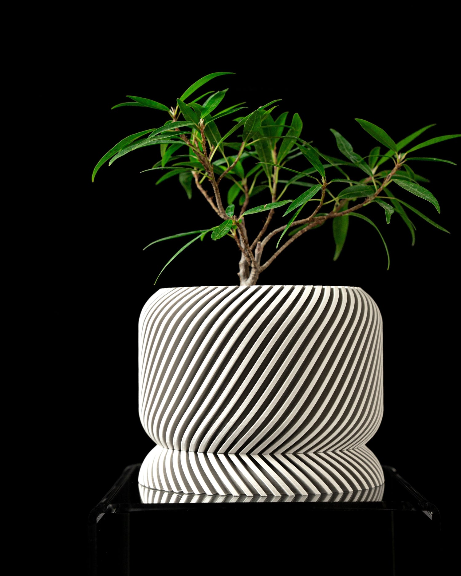 Modern Flower Pots – Elegant Design for Every Space - LayerCraftLab