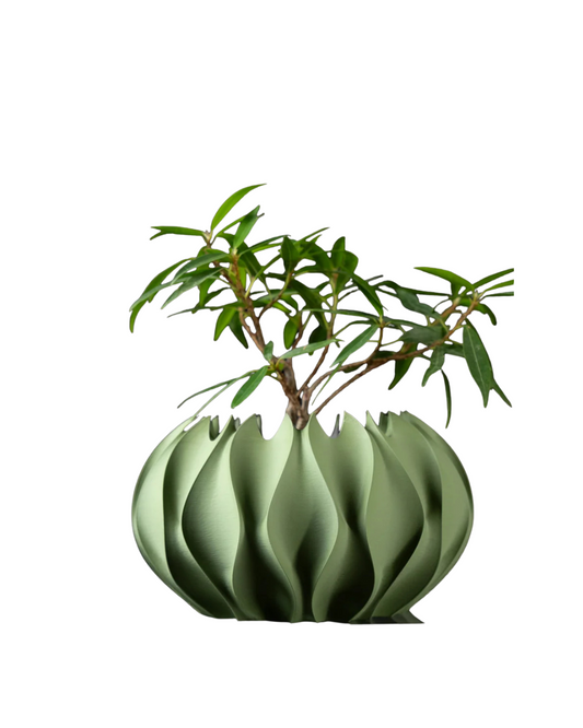Modern 3D printed sage green abyssal planter pot with ripple ocean-inspired design and small green plant inside