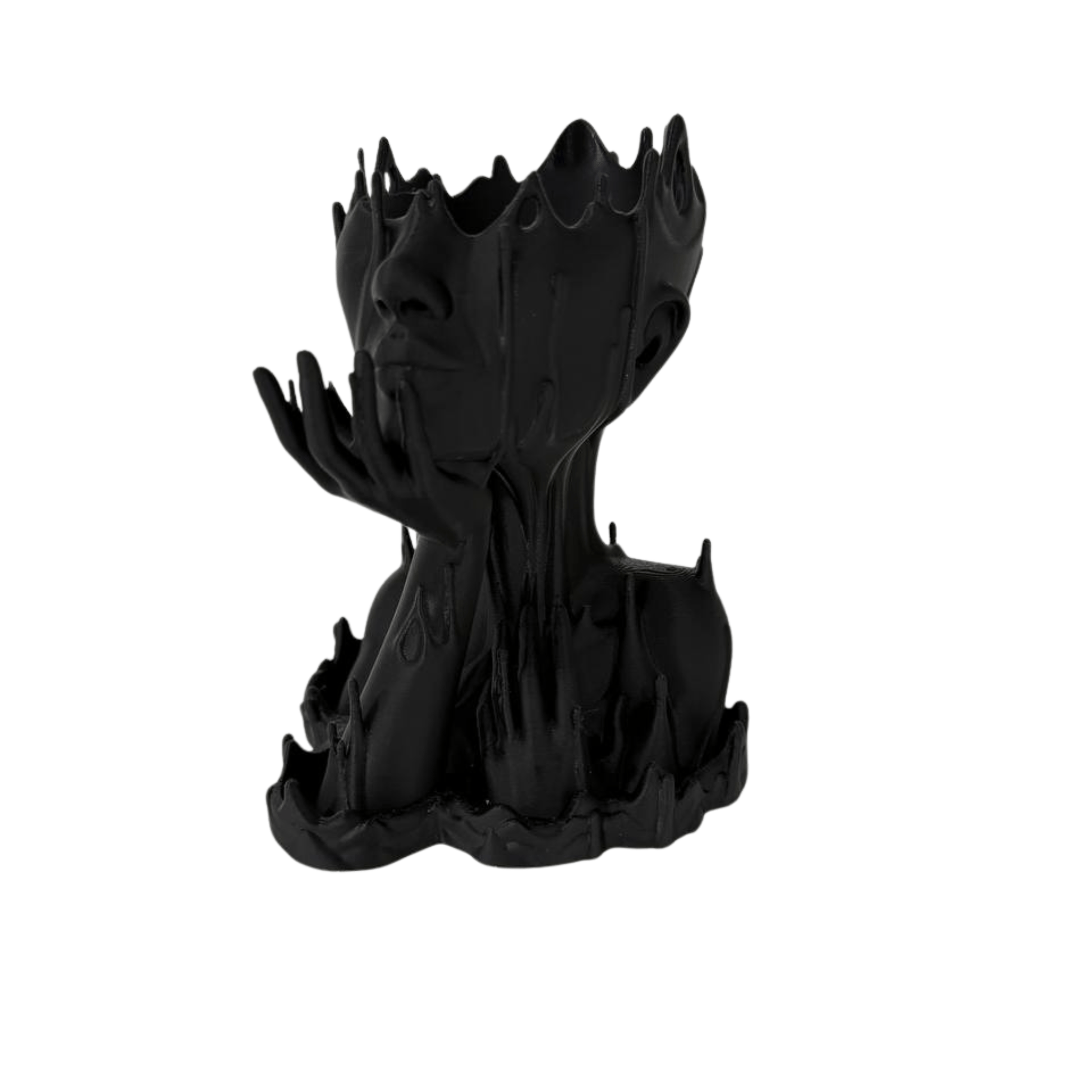 3D Printed Abstract Woman Head Planter – Unique Funky Vase for Modern Home Decor - LayerCraftLab