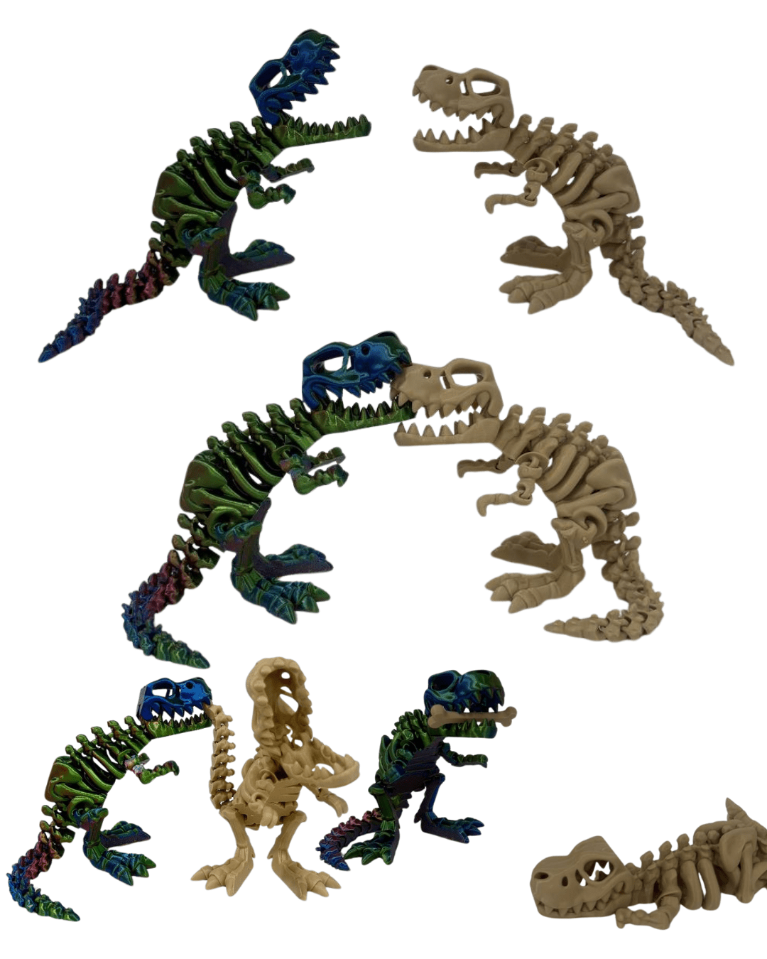 3D Printed T - Rex Skeleton – Poseable Eco PLA Desk Decor + Fidget Toy - LayerCraftLab