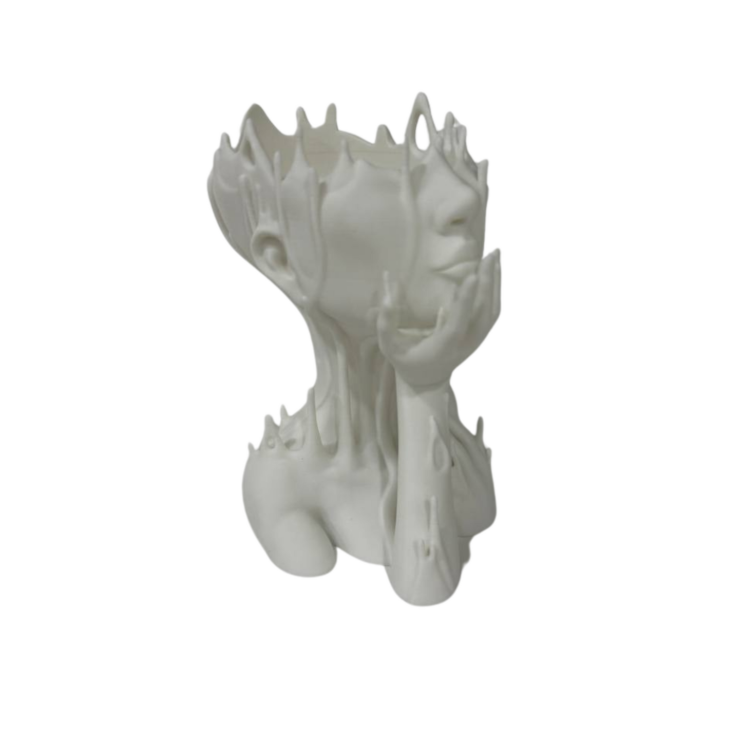 3D Printed Abstract Woman Head Planter – Unique Funky Vase for Modern Home Decor