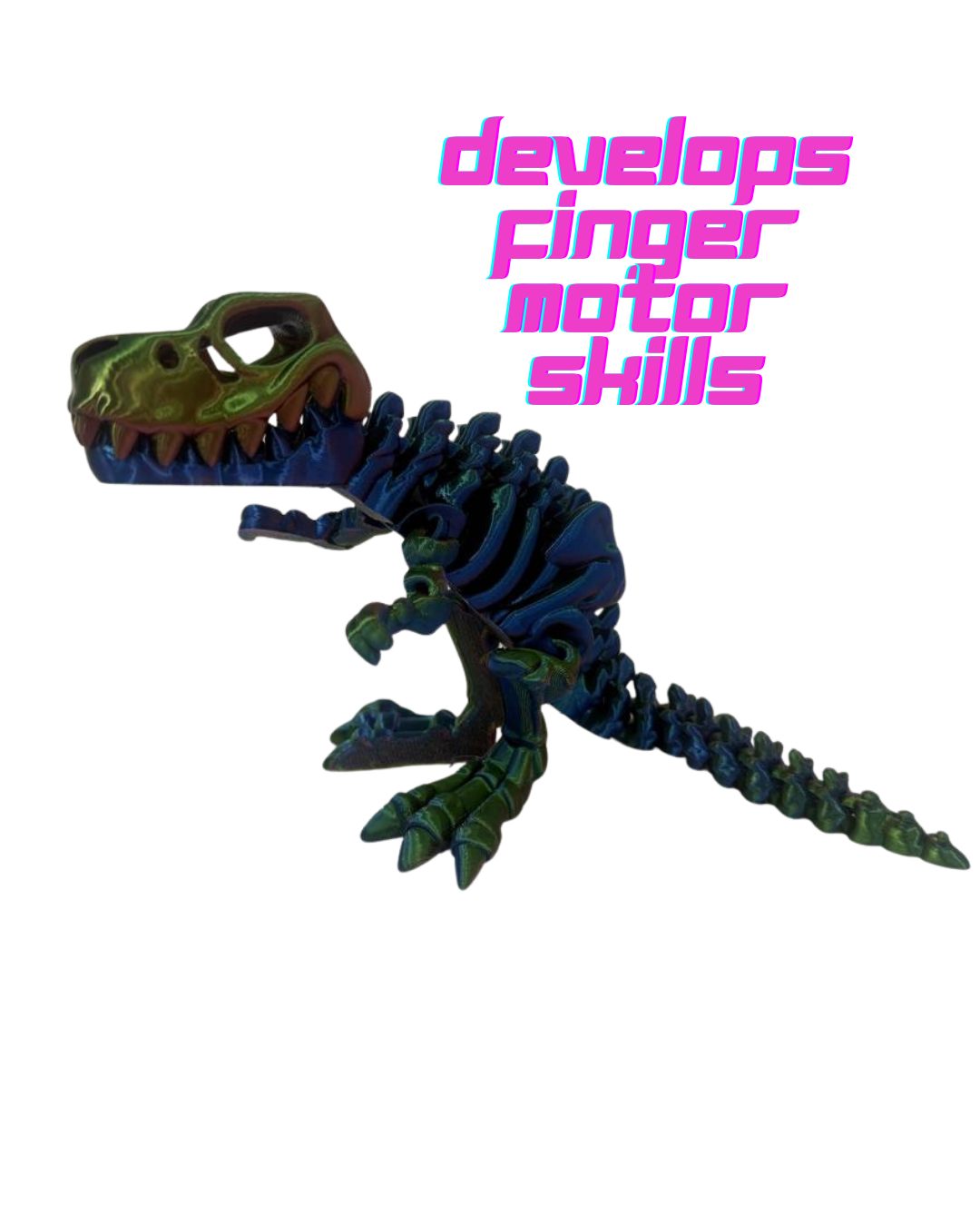 3D Printed T-Rex Skeleton – Poseable Eco PLA Desk Decor + Fidget Toy