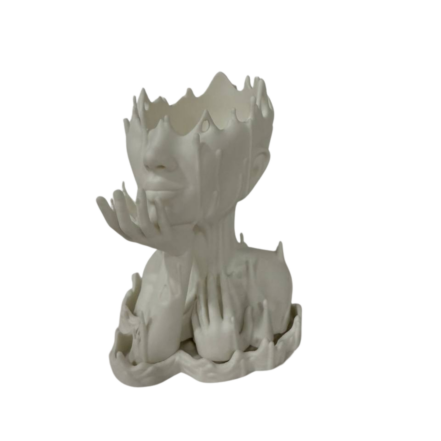 3D Printed Abstract Woman Head Planter – Unique Funky Vase for Modern Home Decor