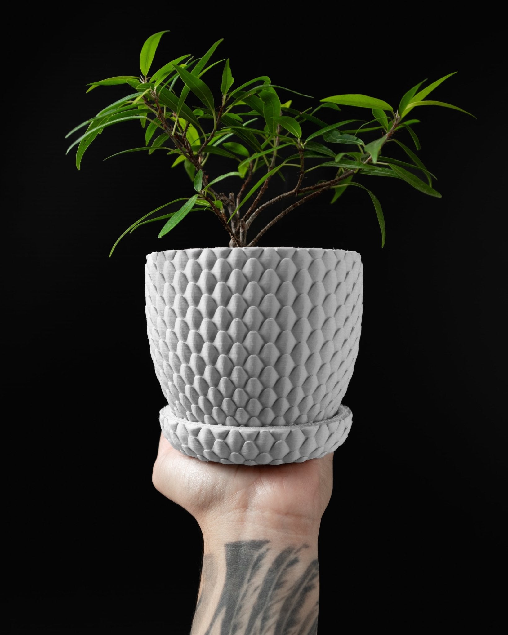 Dragonscale Planter Pot - LayerCraftLab