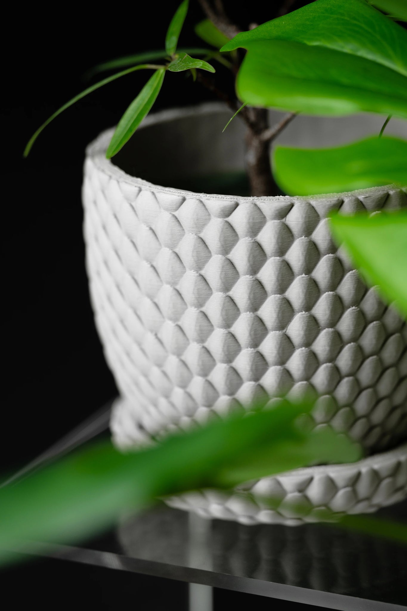 Dragonscale Planter Pot - LayerCraftLab