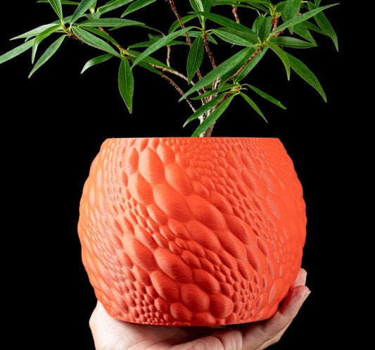 Eco - Friendly Biodegradable Planter Handmade 3D Printed Flower Pot from Plant - Based Plastic - LayerCraftLab