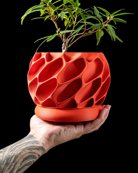 Exo Planter Pot – 2", 3", 4" & 6" - LayerCraftLab