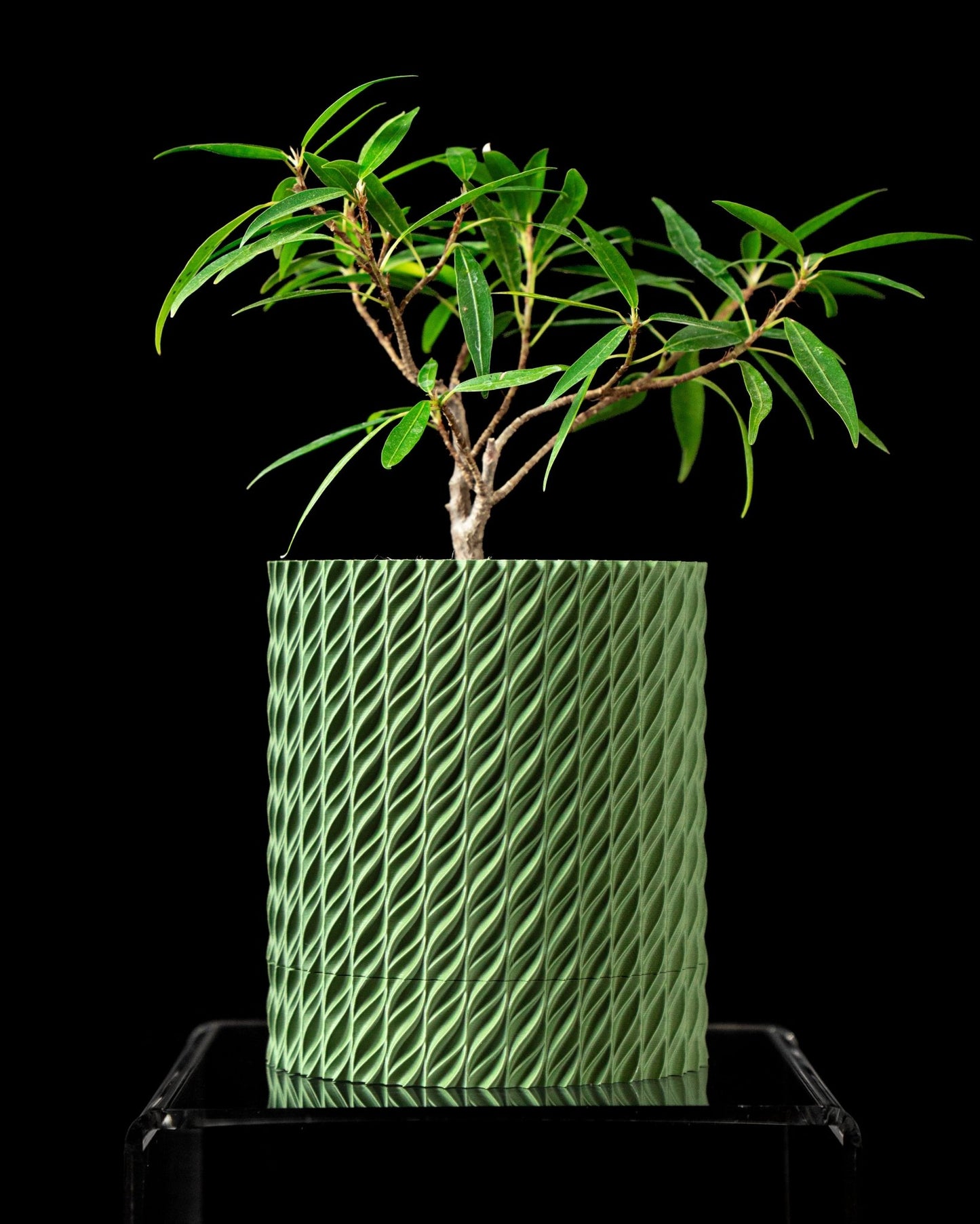 Flow Planter Pot - LayerCraftLab