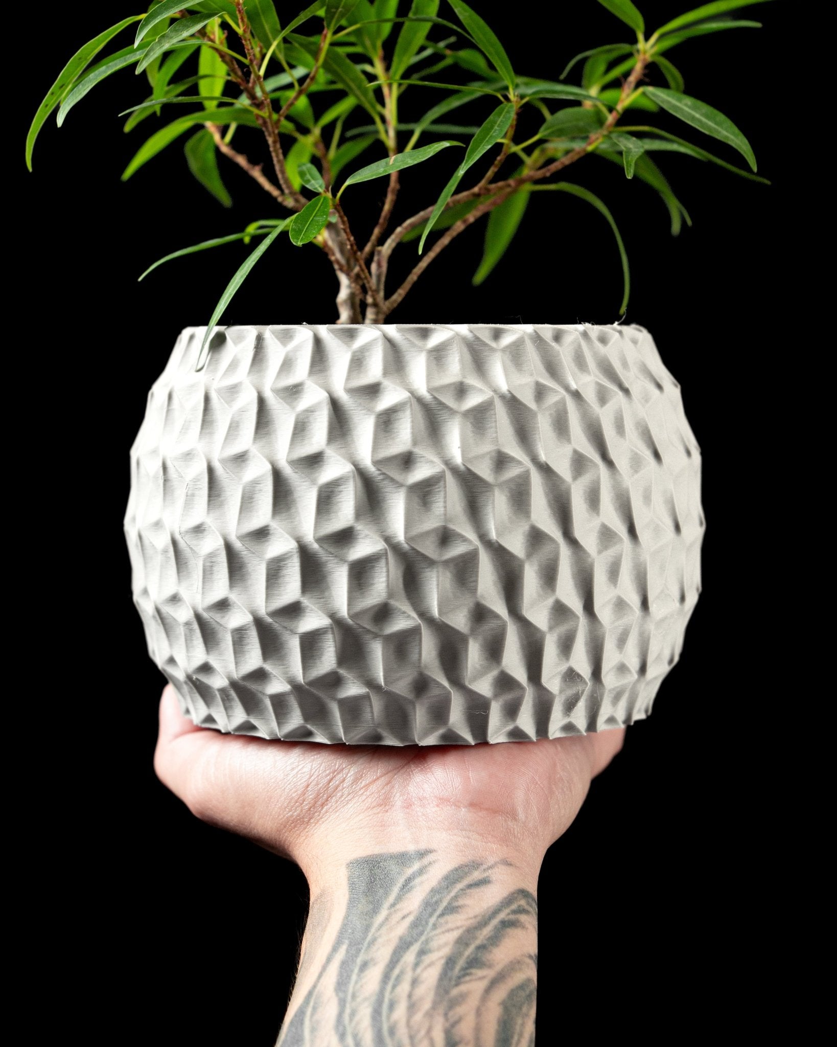 Hexa Planter Pot - LayerCraftLab