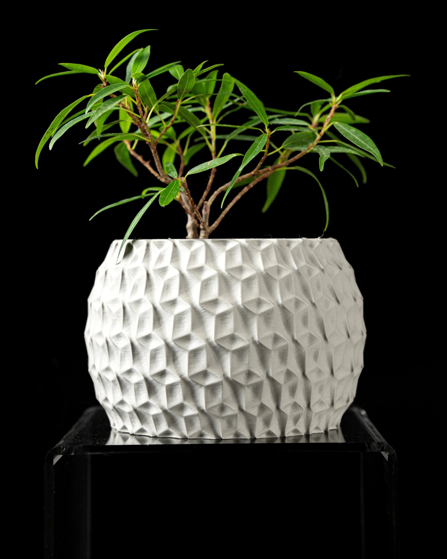 Hexa Planter Pot - LayerCraftLab
