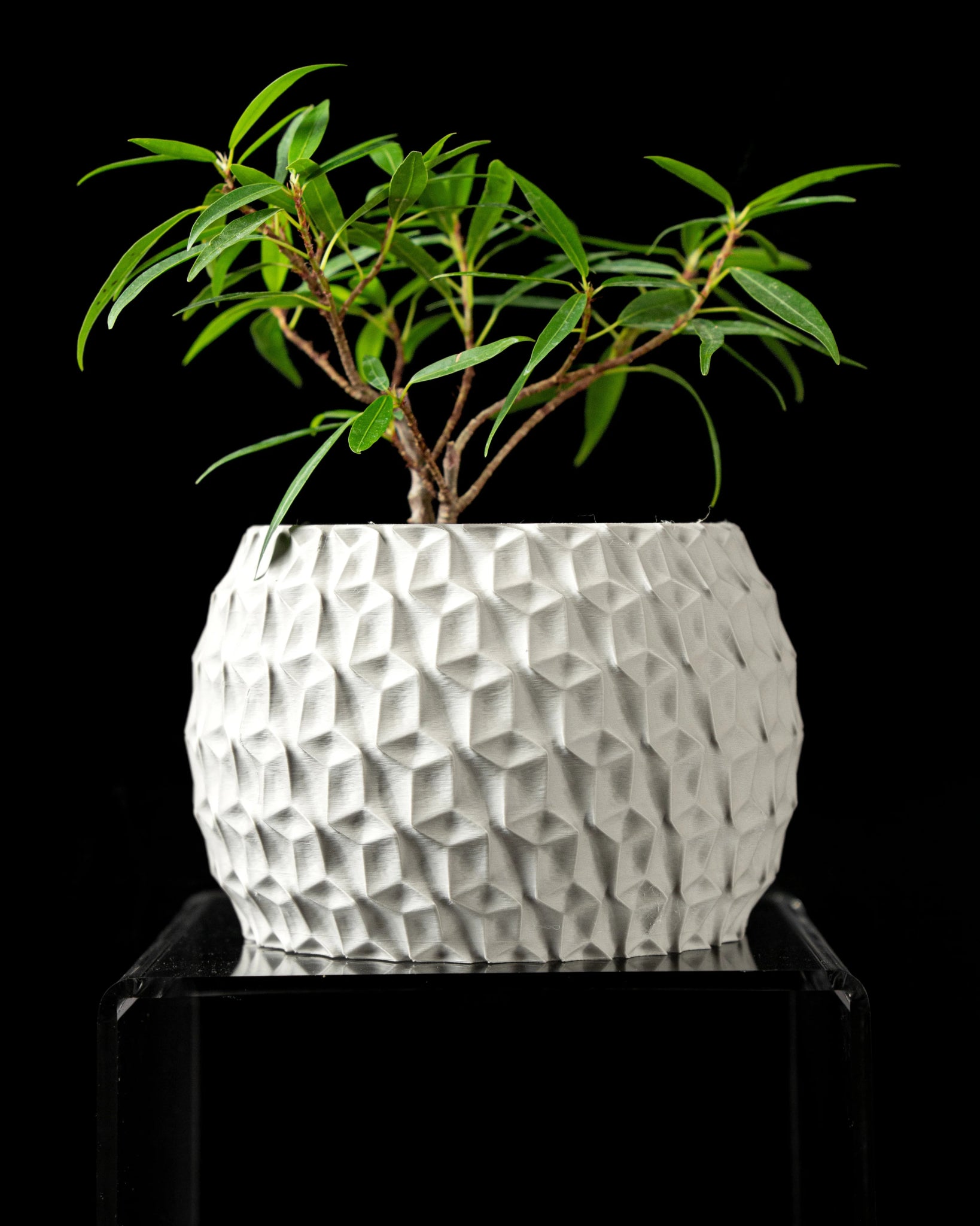 Hexa Planter Pot - LayerCraftLab