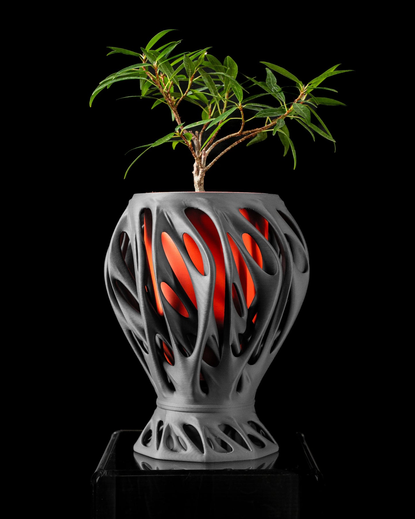 Mantis Planter Pot – 2", 3", 4" & 6" - LayerCraftLab