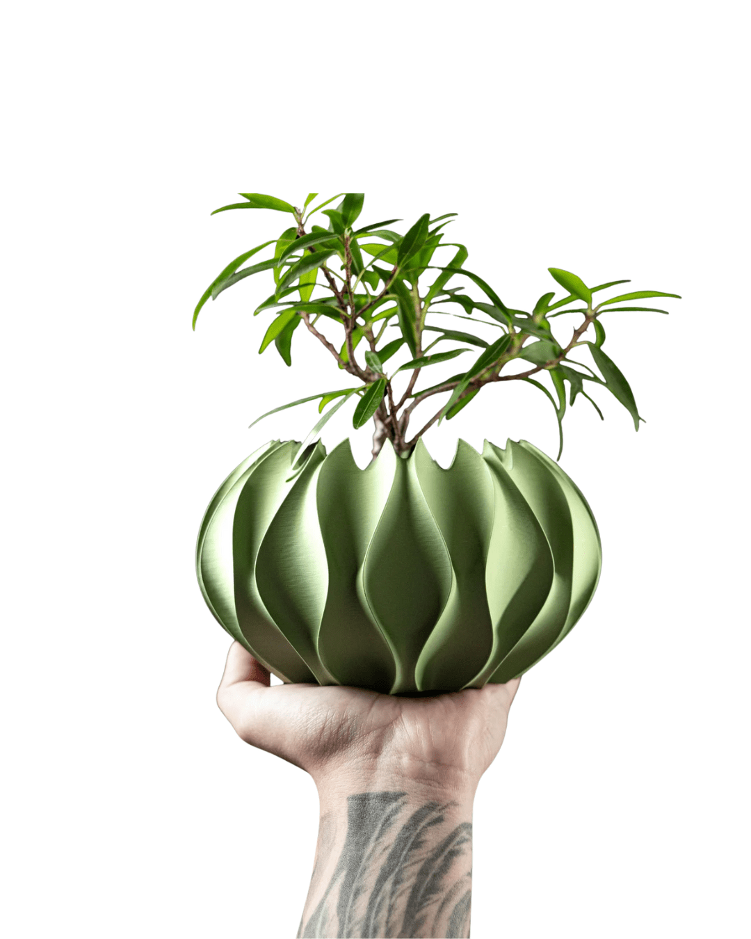 Modern 3D Printed Abyssal Planter Pot – Sage Green PETG/PLA Durable Home Décor - LayerCraftLab