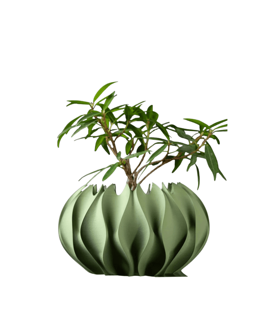 Modern 3D Printed Abyssal Planter Pot – Sage Green PETG/PLA Durable Home Décor - LayerCraftLab