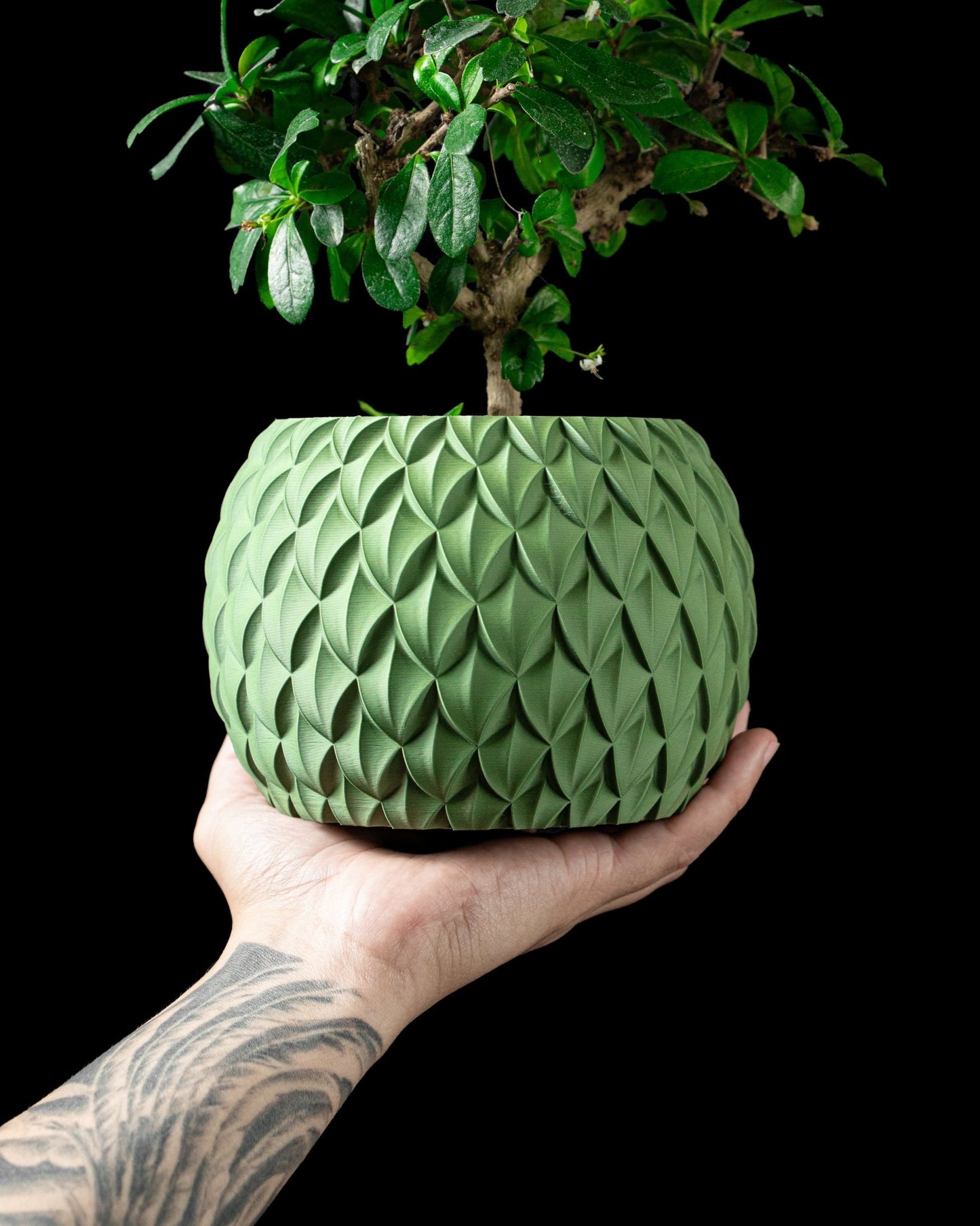 Scale Planter Pot - LayerCraftLab