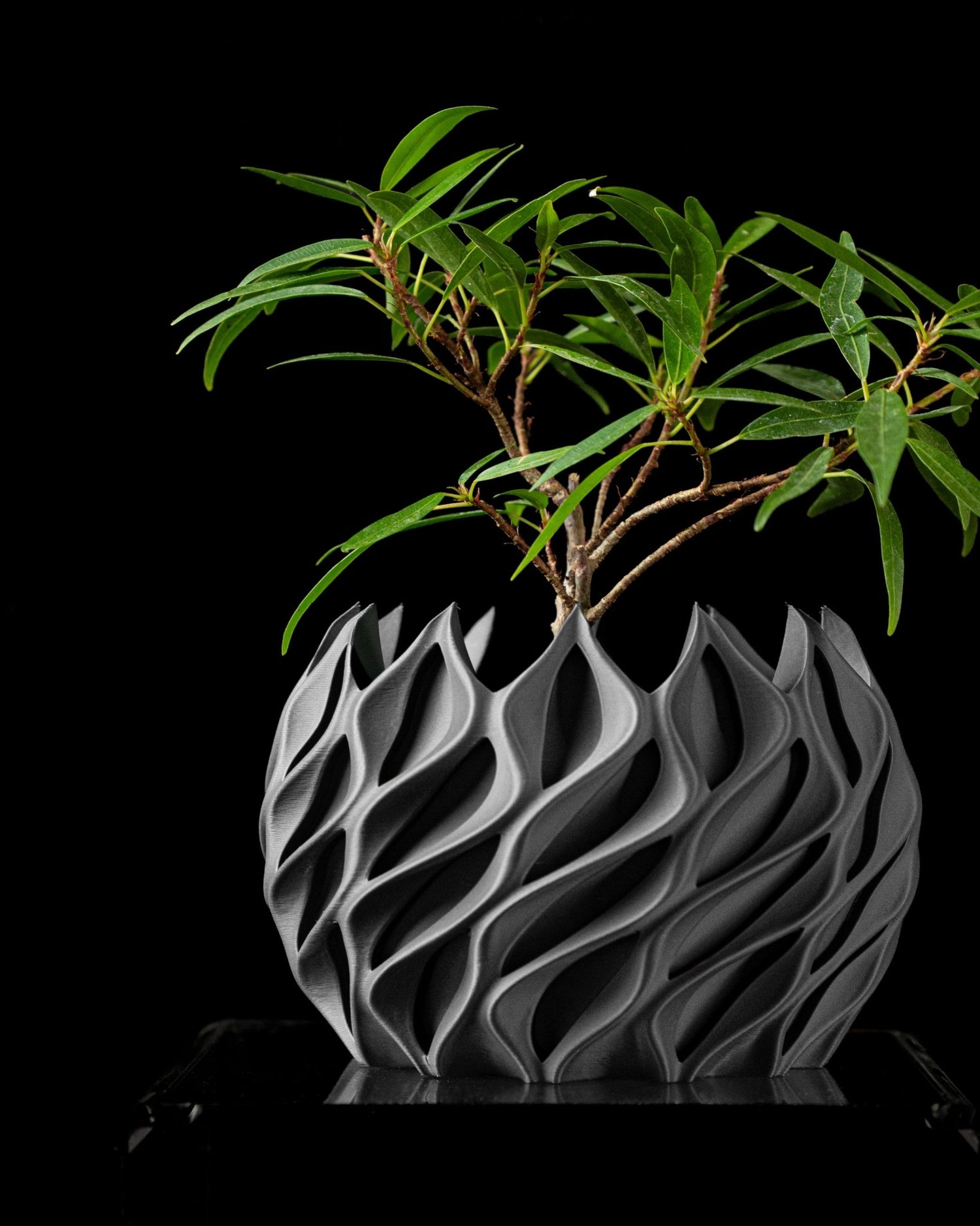 Twisted Planter Pot - LayerCraftLab