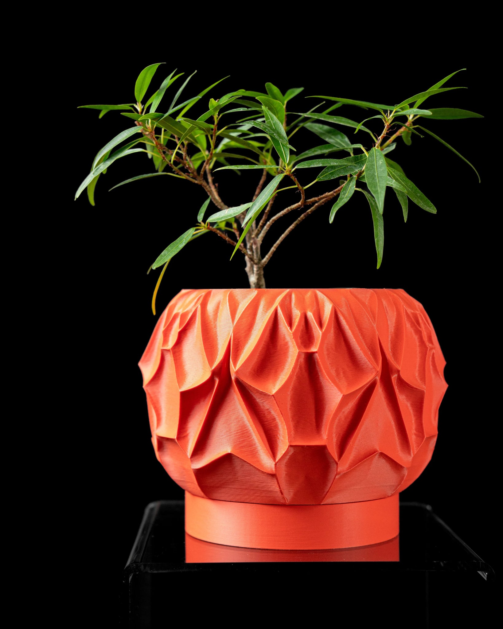 Vessel Planter Pot – 2", 3", 4" & 6" - LayerCraftLab