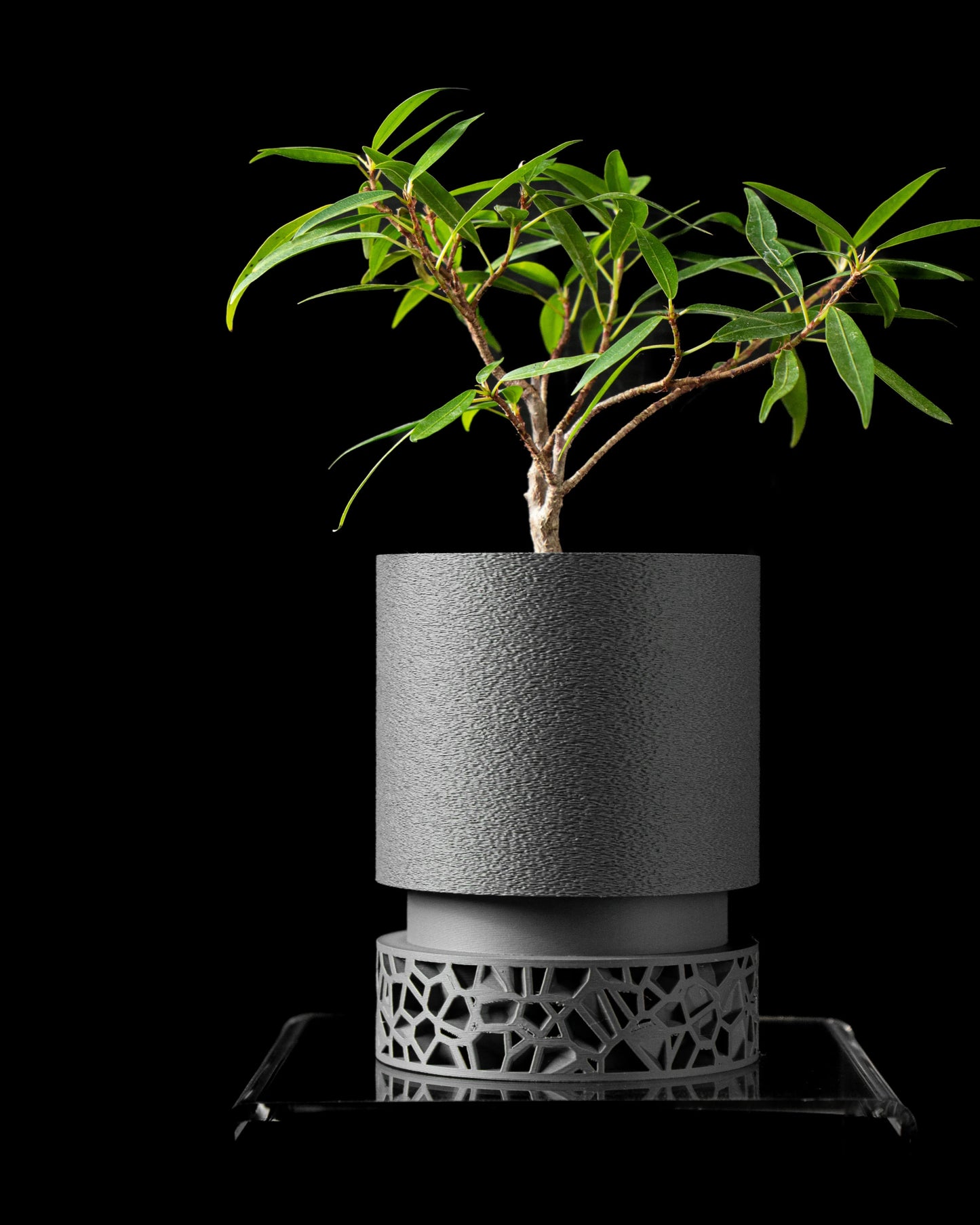 Vori Planter Pot – 2", 3", 4" & 6" - LayerCraftLab